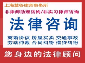 上海法律咨詢 律師會(huì)見、取保候?qū)?、減刑緩刑辯護(hù)服務(wù)詳解