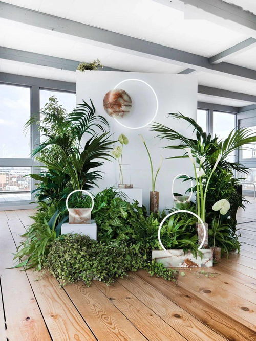 花藝工程中店鋪外包裝的必要性 美學、品牌與商業價值的融合